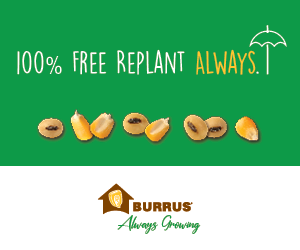 100 Percent Free Replant from Burrus