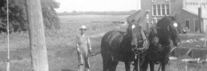 Burrus Seed Historic Timeline