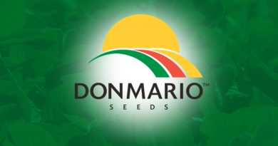 Burrus welcomes Donmario brand