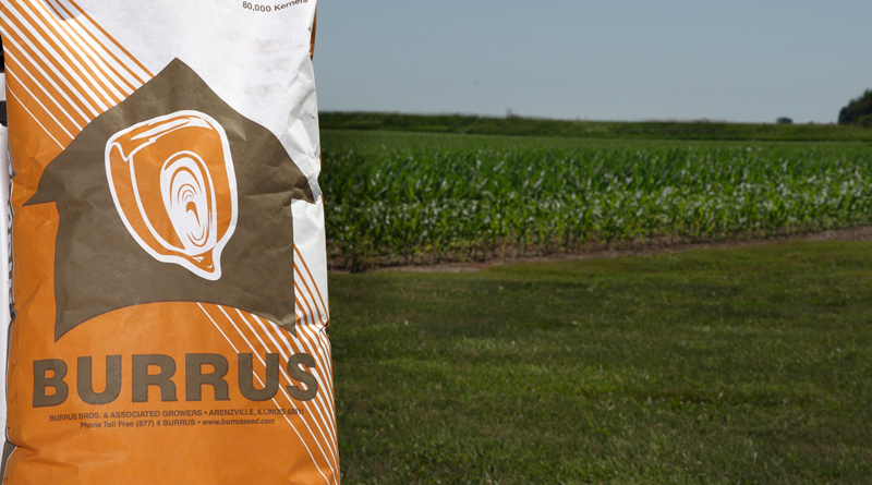 Burrus Terms and Conditions
