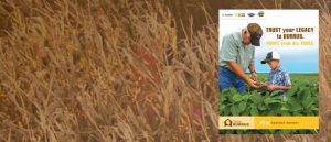 Burrus 2016 Harvest Report