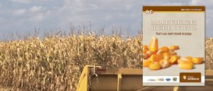 Burrus 2014 Product Selection Guide