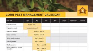 Corn Pest Management Calendar Chart