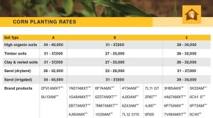Corn Planting Rates