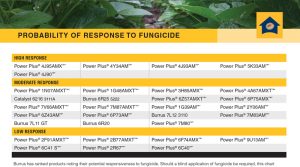Fungicide Response Chart