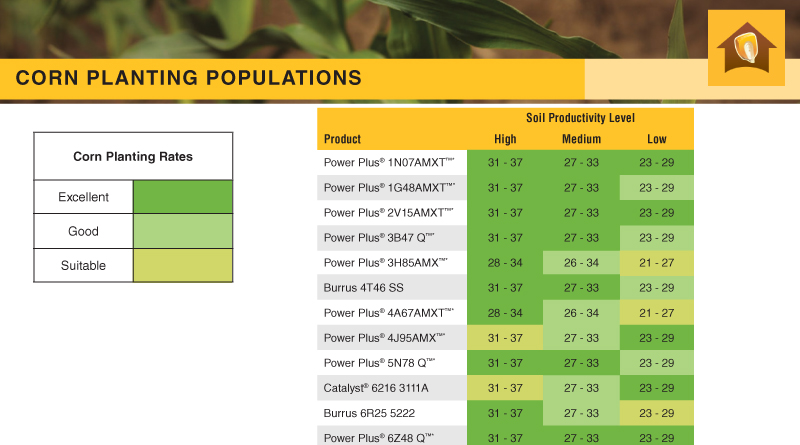Kinze 2000 Planter Population Chart